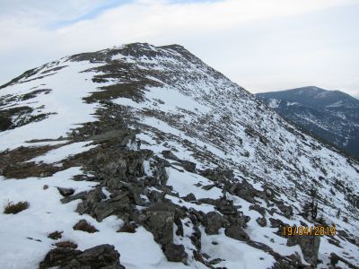 Krowairki zasnieżone pobocze drogi