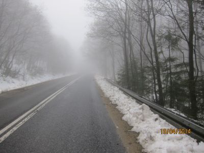 Krowiarki zasnieżone pobocze drogi
