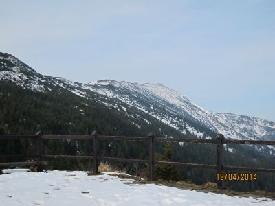 Widok z sokolicy na Babią Górę